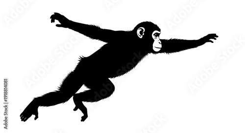 monkey jumping in air