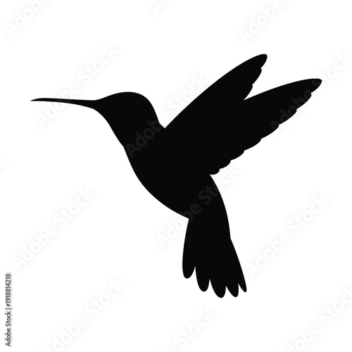 A striking silhouette of a hummingbird in mid flight showcasing its delicate form