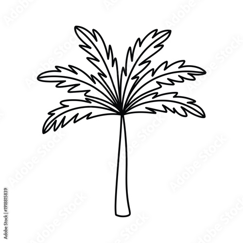 Simple black and white line drawing of a tropical palm tree with feathery leaves