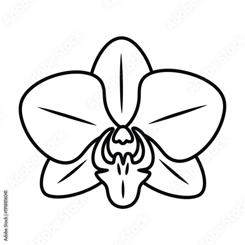 Simple black and white line drawing of a single orchid flower in bloom