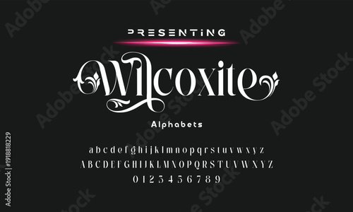 Elegant ligature alphabet letters font logo. Typography luxury classic lettering serif fonts decorative wedding vintage retro logos, design for fashion,beauty shop and brand . vector illustration