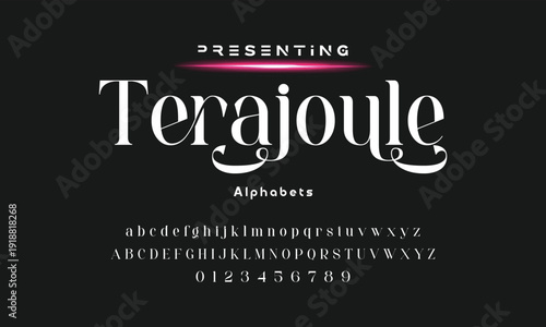 Elegant ligature alphabet letters font logo. Typography luxury classic lettering serif fonts decorative wedding vintage retro logos, design for fashion,beauty shop and brand . vector illustration