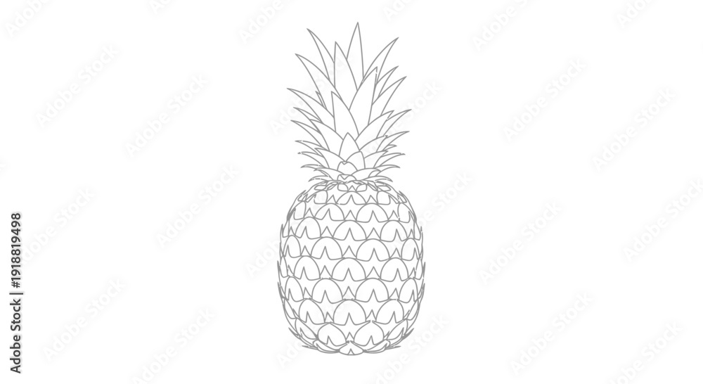 Obraz premium pineapple illustration