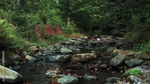 Wallpaper Mural A peaceful forest landscape with a flowing river and small waterfall over rocks surrounded by green trees in autumn Torontodigital.ca