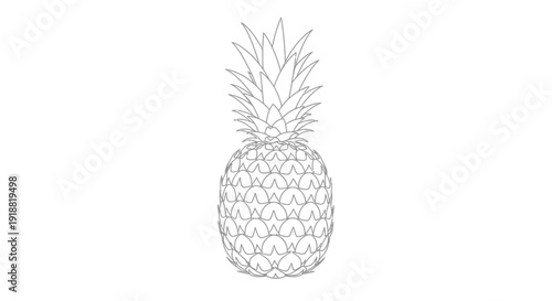 pineapple illustration