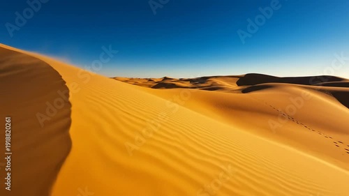 Golden sand dunes ripple like waves under a vast blue sky in a serene desert landscape.
