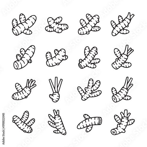 Ginger Root Icons Set Hand Drawn Botanical Line Art Food Ingredients Isolated Vector Graphics