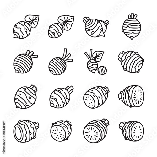 Taro Root Vector Icons Set Whole and Sliced Isolated on White