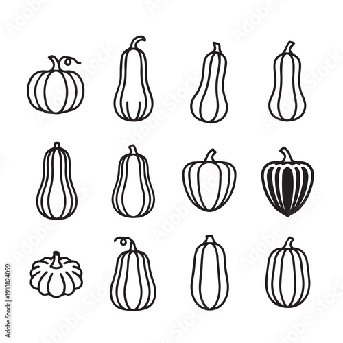 Various Outline Pumpkins and Gourds Collection Fall Harvest Icons Vector Illustrations