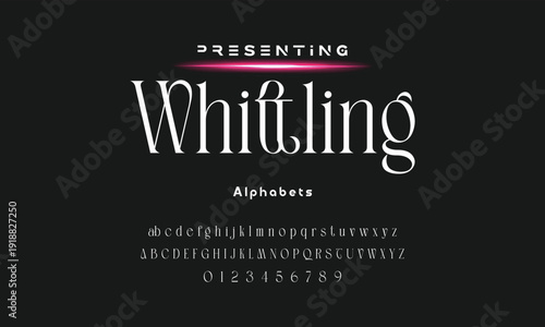 Lettering Minimalist Fashion. Elegant alphabet letters serif font and number. Typography fonts regular uppercase, lowercase.