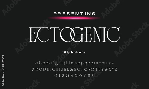 Lettering Minimalist Fashion. Elegant alphabet letters serif font and number. Typography fonts regular uppercase, lowercase.