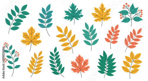 Colorful collection of assorted autumn foliage illustrating seasonal change with various leaf shapes and berry branches