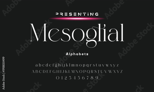 Elegant and modern serif alphabet font uppercase and number fonts victorian typeface