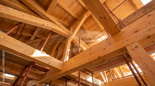 Light filtering through newly installed wooden roof beams and rafters in a building under construction