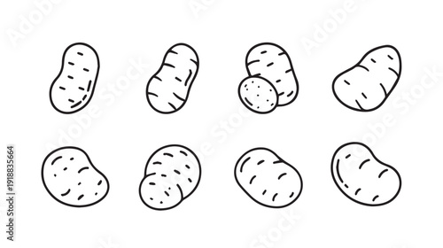 Hand Drawn Potato Icons Collection Isolated on White Background Simple Line Art Vegetable Illustrations