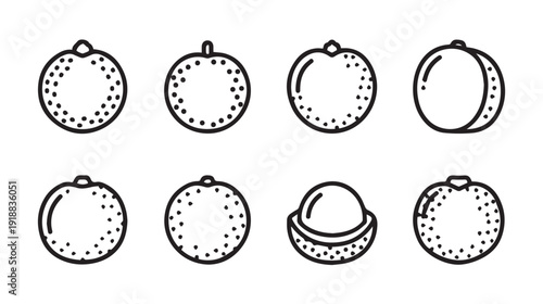 Lychee Fruit Icon Set Whole and Halved Simple Line Art Isolated