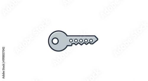 A single old metal skeleton key.