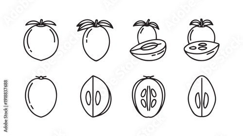 Plum Fruit Outline Icons Set: Whole and Halved Seed Detail