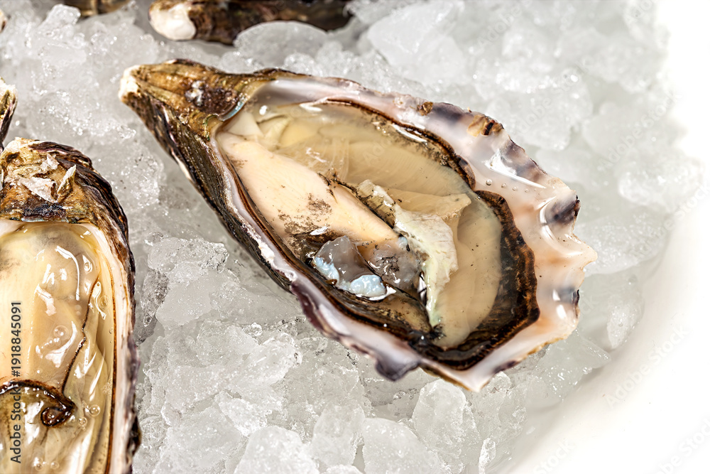 custom made wallpaper toronto digitalFresh oysters are placed on a bed of ice. The setting is a seafood restaurant where people enjoy meals. The oysters appear ready to be served to diners.
