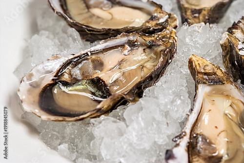 Wallpaper Mural Fresh oysters are placed on a bed of ice. The setting is a seafood restaurant where people enjoy meals. The oysters appear ready to be served to diners. Torontodigital.ca
