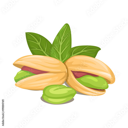 Pistachio Nuts with Leaves Vector Illustration