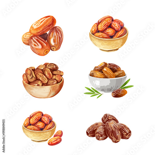 Set of dried dates and date fruits in bowls, illustration of healthy dried fruit snacks