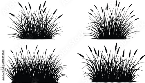 Wild grass and wheat spike silhouettes set, meadow and field plants isolated on white background, flat vector illustration