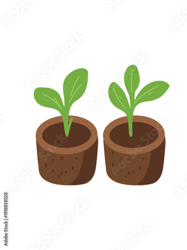 young plant growing in peat pod gardening artwork