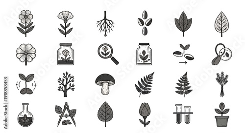 Botanical icons for plant biology.