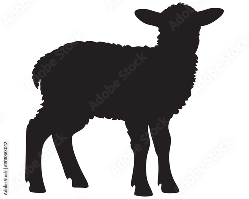 Silhouette of young lamb standing isolated on transparent background for nature and animal illustrations