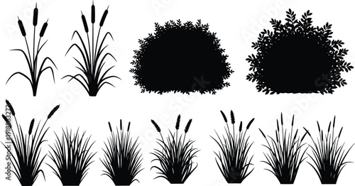 Reed grass and bush silhouettes vector set, meadow plants foliage collection isolated for landscape design projects, flat vector illustration