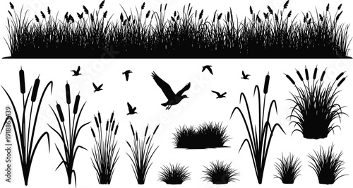 Reed grass silhouette vector set, wetland plants collection, marsh nature elements with birds, botanical landscape, flat vector illustration