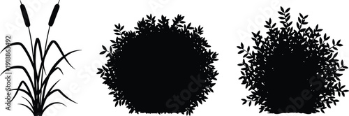 Reed plant and round bush silhouettes vector set, isolated meadow foliage elements for garden landscape design, flat vector illustration
