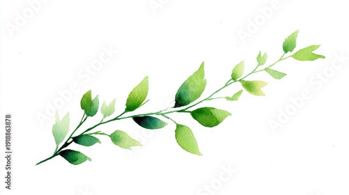 A delicate watercolor branch with vibrant green leaves, perfect for designs related to nature, health, and wellness, Ideal for backgrounds, cards, or eco-friendly promotions,