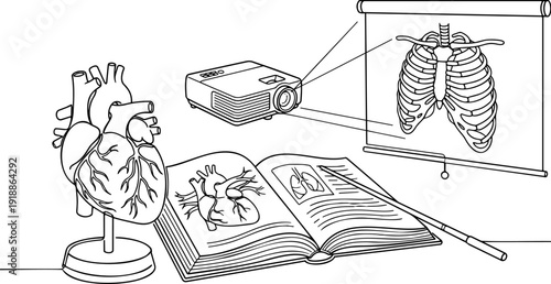 Black and white vector line art illustration of a medical anatomy education concept featuring a 3D heart model, an open textbook, a presentation pointer, and a projector displaying a human ribcage on 