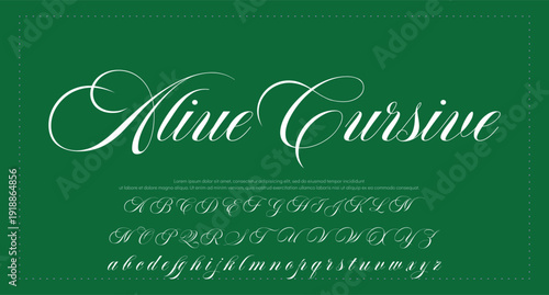 Script Brush Font Type Font lettering handwritten 