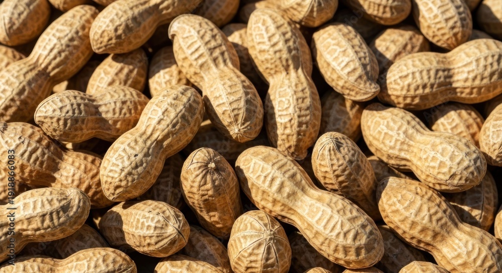 Fototapeta premium Heap of dried peanuts, close-up, textured shells
