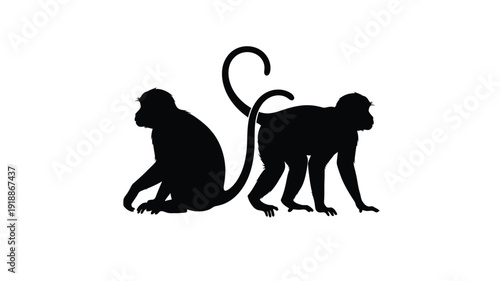Two monkeys are depicted in a striking black silhouette