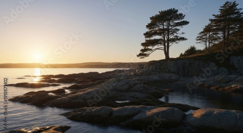 Sunrise illuminates rocky coast with trees