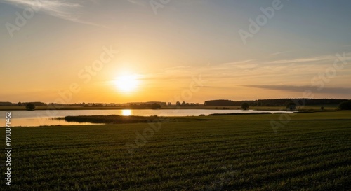 Sunset over field and water; golden light abounds