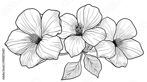 Elegant black and white floral illustration of blooming flowers and leaves