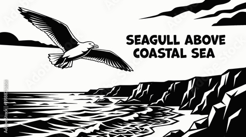 seagull bird wildlife nature landscape sky wings flying habitat coastal sea outdoor environment scenic travel black and white vector illustration