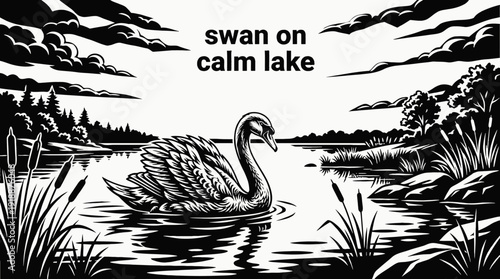 swan bird wildlife nature landscape sky wings habitat lake outdoor environment scenic vector illustration