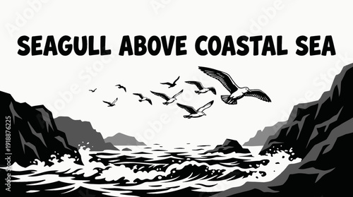 seagull bird wildlife nature landscape sky wings flying habitat coastal sea outdoor environment scenic travel black and white vector illustration