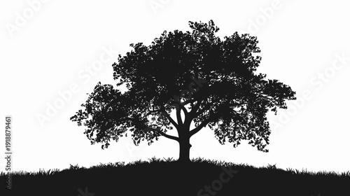 Silhouette of a majestic tree on a hill against a bright white sky