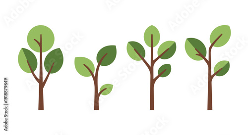 Sapling Line art filed color illustration dynamic abstract creative vector