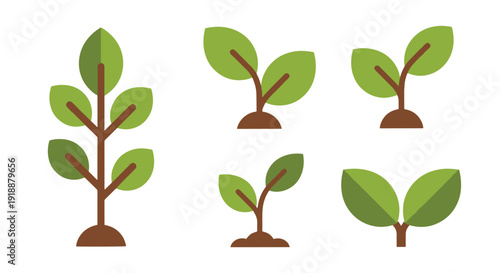 Sapling Line art soft clean color vector