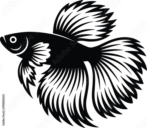 Betta fish silhouette illustration with long fins, Siamese fighting fish design, aquatic animal icon, black vector artwork isolated on white background.
