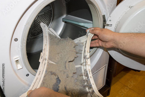 Принти на полотні cleaning lint from clothes dryer filter