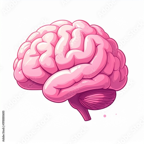 Vibrant pink brain illustration for educational and medical purposes